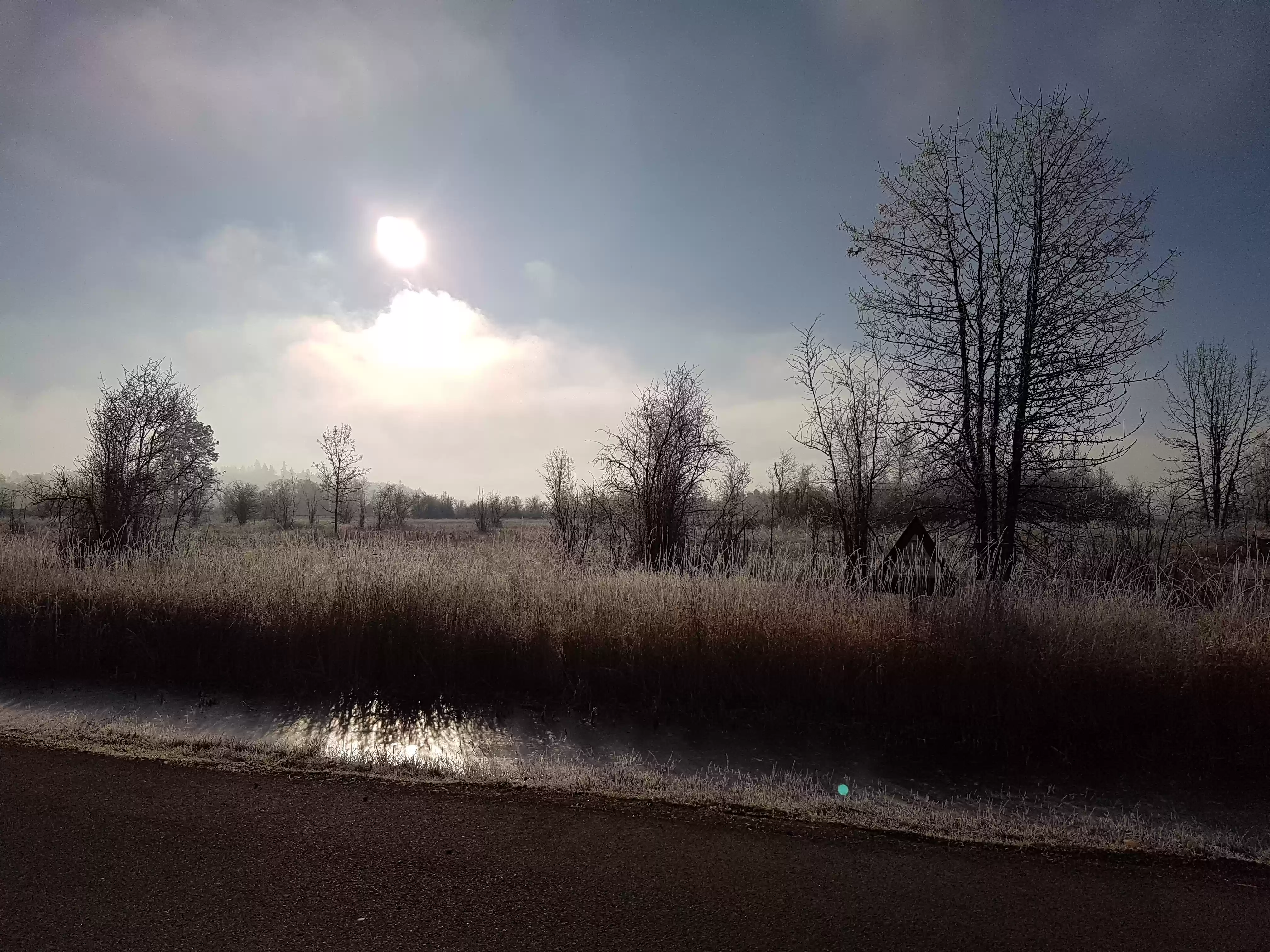 20171211_094401